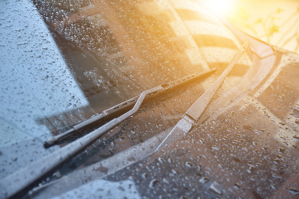 What Are the Signs of Worn Windshield Wiper Blades?